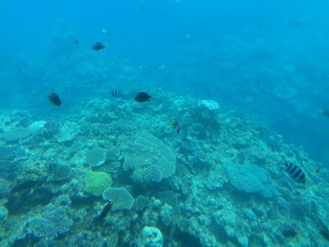 IMG_9157