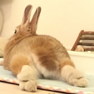 tama